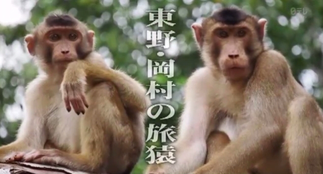 東野 岡村の旅猿8グアム スキューバーダイビング取得の旅 2 旅猿 動画